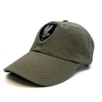 1st Aviation Brigade Hat facing left
