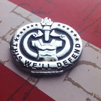 Army Drill Sergeant Badge This We'll Defend Metal Decal
