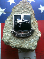 502nd Infantry Regiment Strike Metal Auto Emblem on a stone